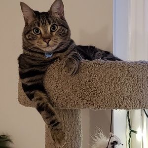 Meet your Posher, Joanne